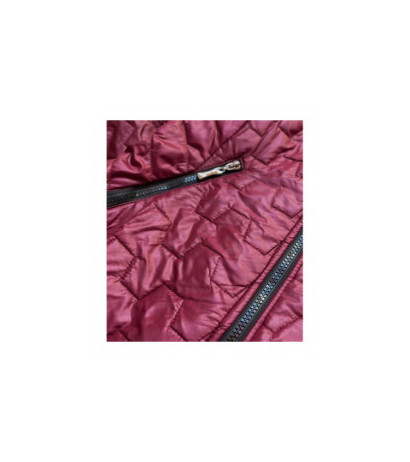 S'WEST (br0121) striukė