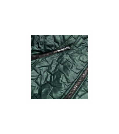 S'WEST (br0121) striukė