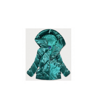 Ann Gissy (omdl-022) striukė