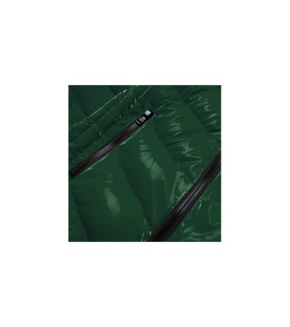 SPEED.A (xw810x) striukė