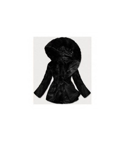 S'WEST (br9743-1) striukė