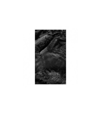 S'WEST (br9741-1) striukė