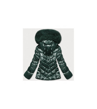 WINTER JACKET WITH MEMBRANE MINT (W182) striukė