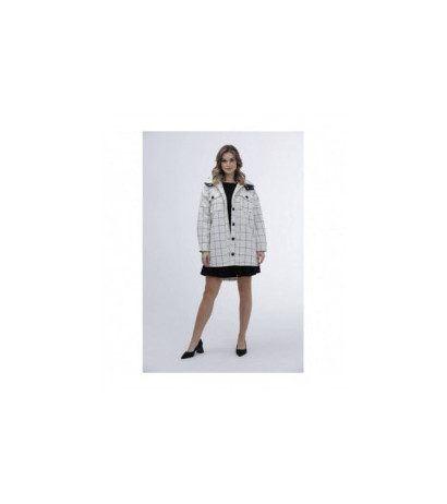 Ann Gissy (AG3-1813) striukė