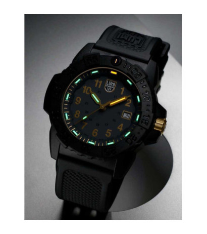 Luminox XS.3508.GOLD 