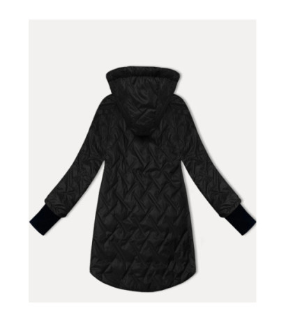 S'WEST (B8371-1) striukė