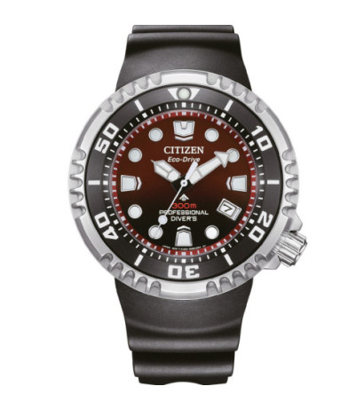 Citizen BN1024-01Z 