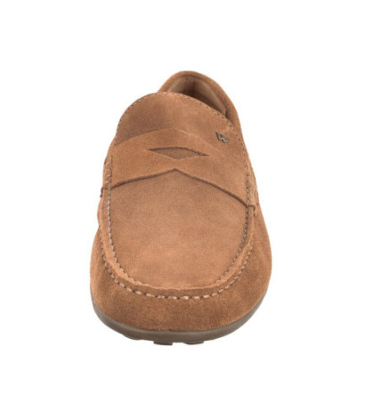 Wojas Brązowe 10116-64 (WO78-a) kingad