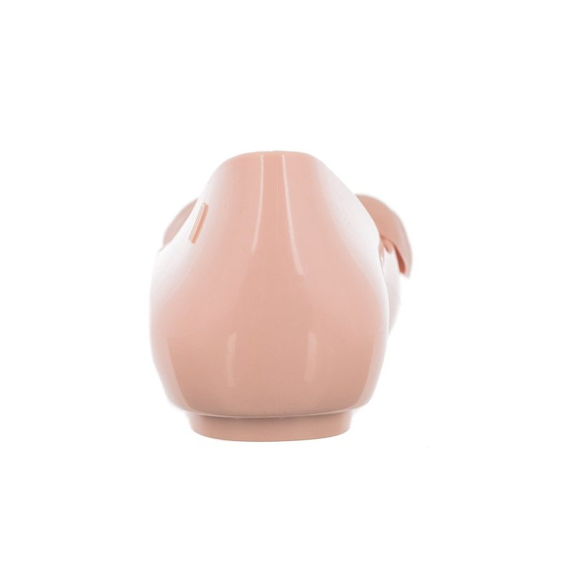 Melissa Sweet Love V AD 33477/50485 Pink (ML218-a) baleriinid