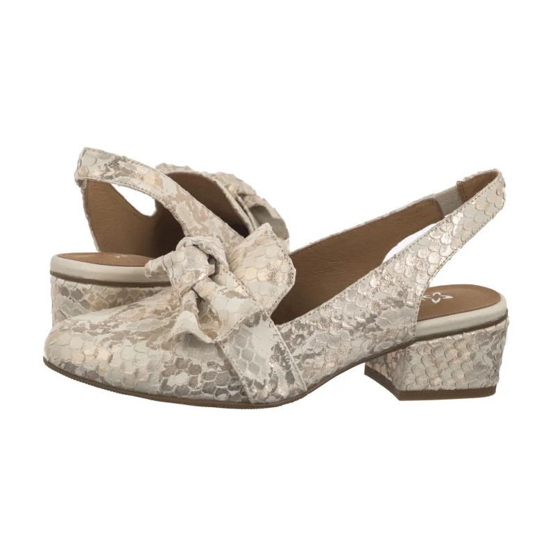 Maciejka Beżowe/Złote N6539-04/00-1 (MA1206-c) kingad