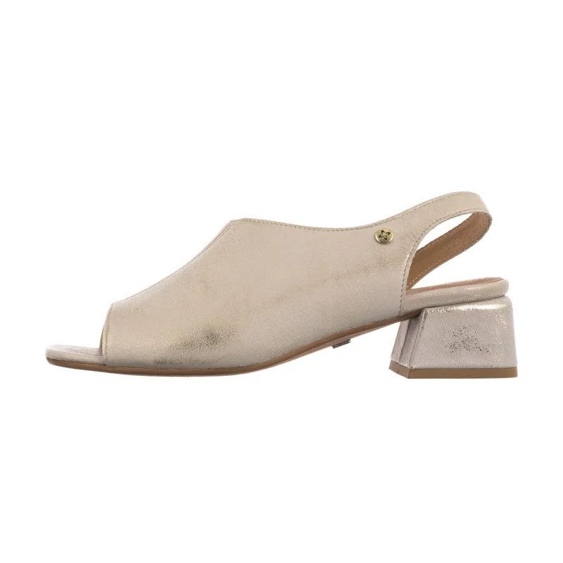 Maciejka Złote 06975-25/00-1 (MA1363-a) kingad