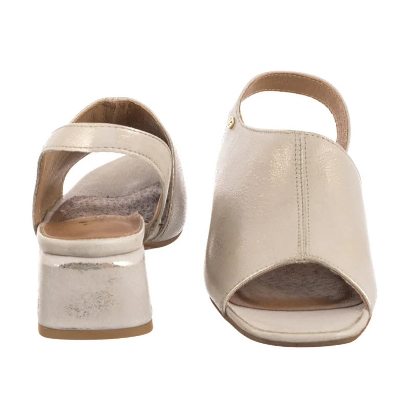 Maciejka Złote 06975-25/00-1 (MA1363-a) kingad