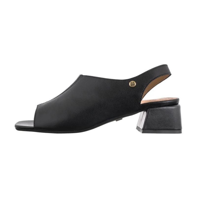 Maciejka Czarne 06975-01/00-1 (MA1363-b) kingad