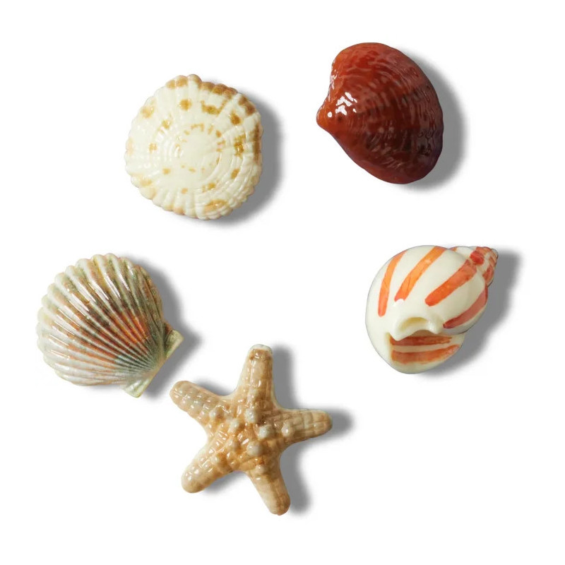 Crocs Jibbitz™ She Sells Seashells 5-Pack 10014671 (CR363-a) tarvik