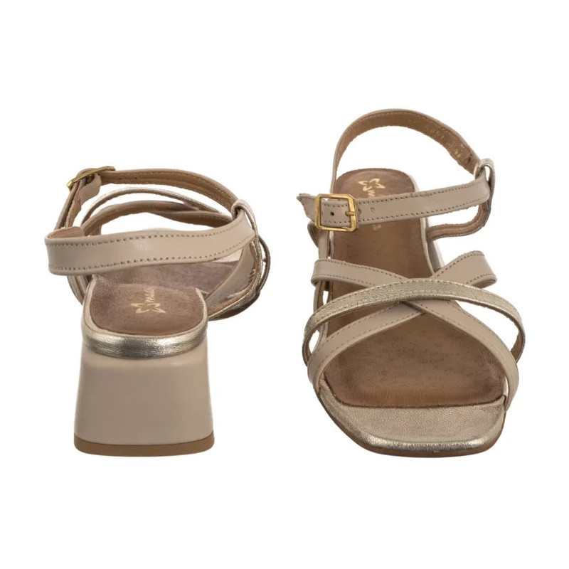 Maciejka Beżowe/Złote 06959-25/00-1 (MA1406-a) kingad