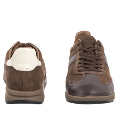 Ryłko Brązowe D1RZ2_U_ _4TX (RY1126-a) spordijalatsid