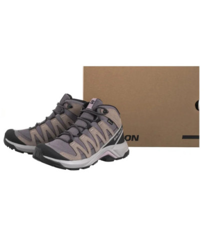 Salomon X-Adventure Recon Mid GTX W Excalibur/Gull/Nirvana 477534 (SO23-a) kingad