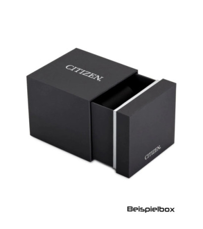 Citizen NB6034-58L 