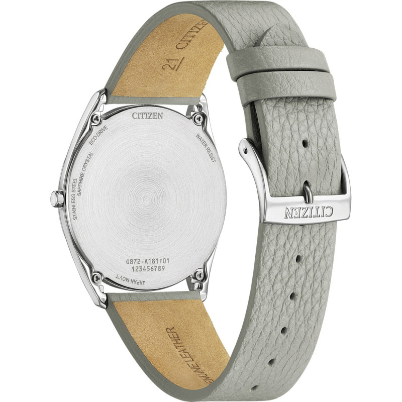 Citizen AR3120-41X 