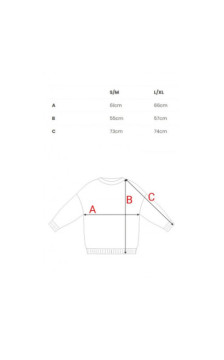 B303 Bluza z dzianiny z nadrukiem - model 1