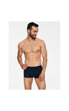 Henderson aluspüksid