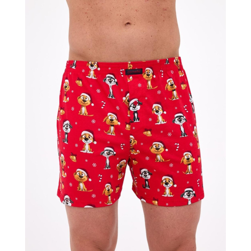 Cornette aluspüksid