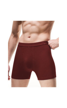 Cornette aluspüksid