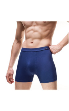 Cornette aluspüksid