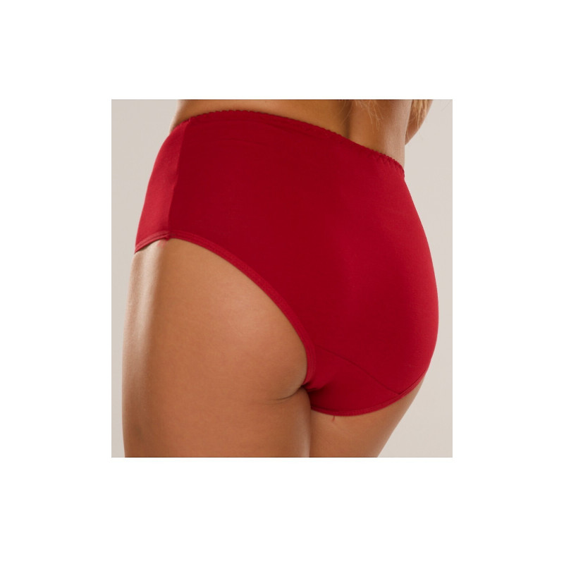 De Lafense aluspüksid