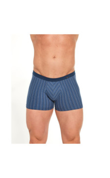 Cornette aluspüksid