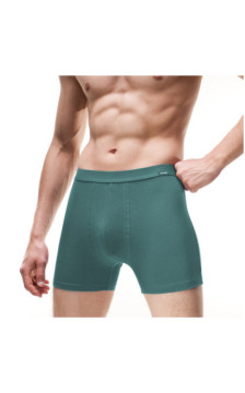 Cornette aluspüksid