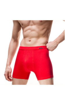 Cornette aluspüksid