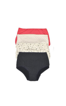 De Lafense aluspüksid