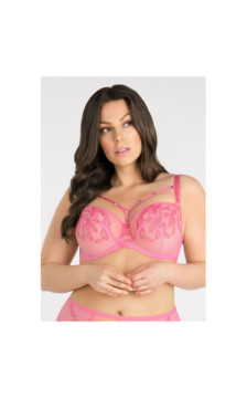 Gorsenia rinnahoidja