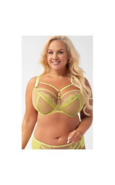 Gorsenia rinnahoidja