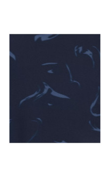 Atlantic ujumistrikood