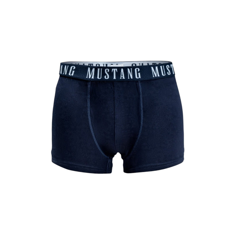 Mustang aluspüksid