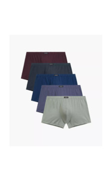 Atlantic aluspüksid