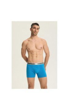 Henderson aluspüksid