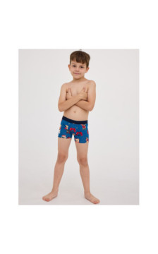 Cornette aluspüksid poistele