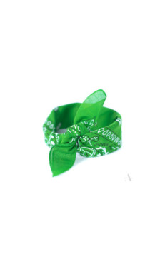 Art Of Polo laste sallid 