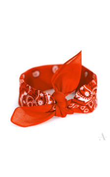 Art Of Polo laste sallid 