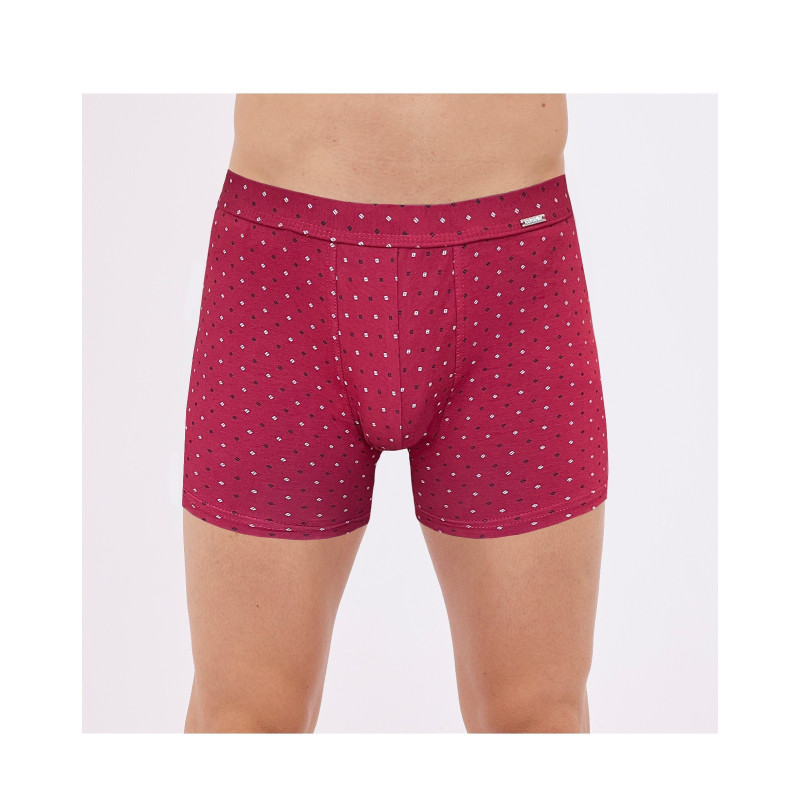 Cornette aluspüksid