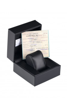 Zeppelin 8462-3 laikrodis