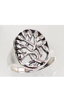 Hõbesõrmus 2100721(POx-Bk), Hõbe 925°, oksüüd (kate)